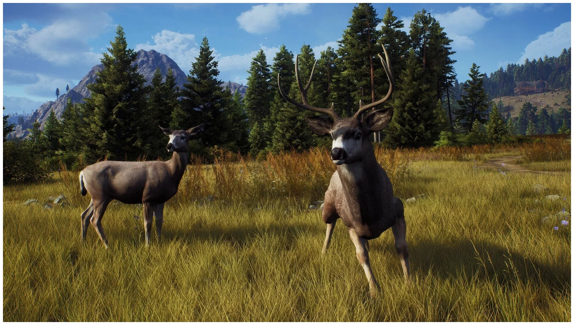 Captura 806jgyal