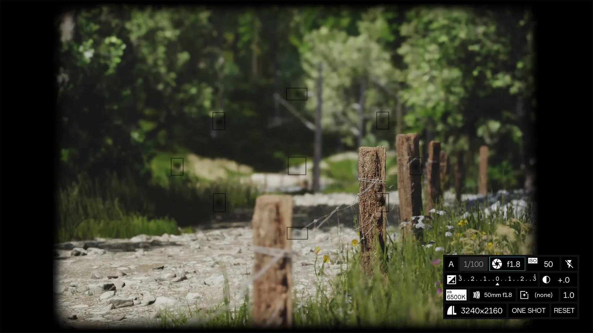 Captura Lushfoil Photography Sim – Camino Rural Rodeado De Vegetacion Con Camara En Pantalla