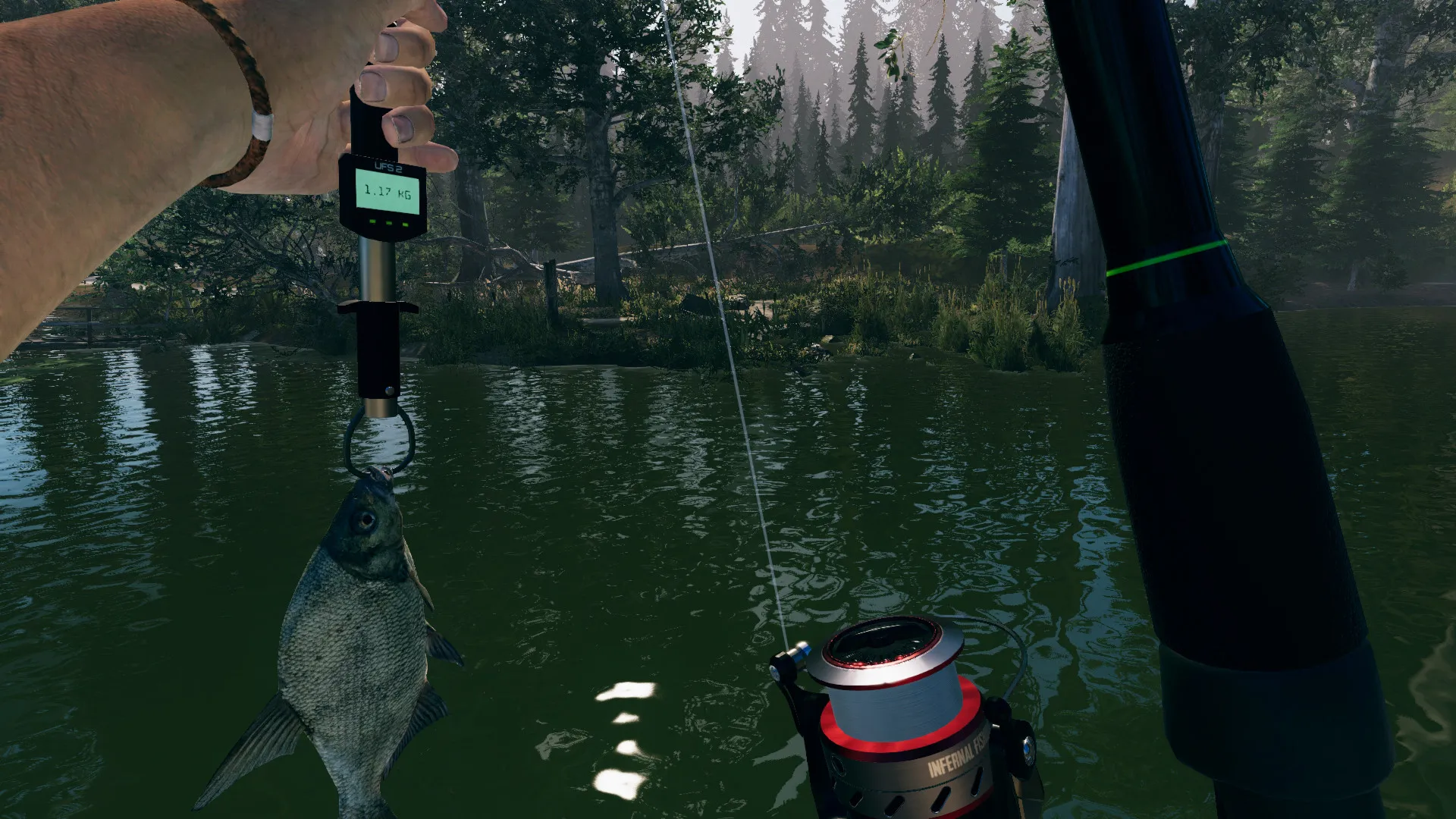 Captura Ultimate Fishing Simulator 2 – Pescado Siendo Pesado Digitalmente En Una Zona Boscosa Con Agua Verdosa