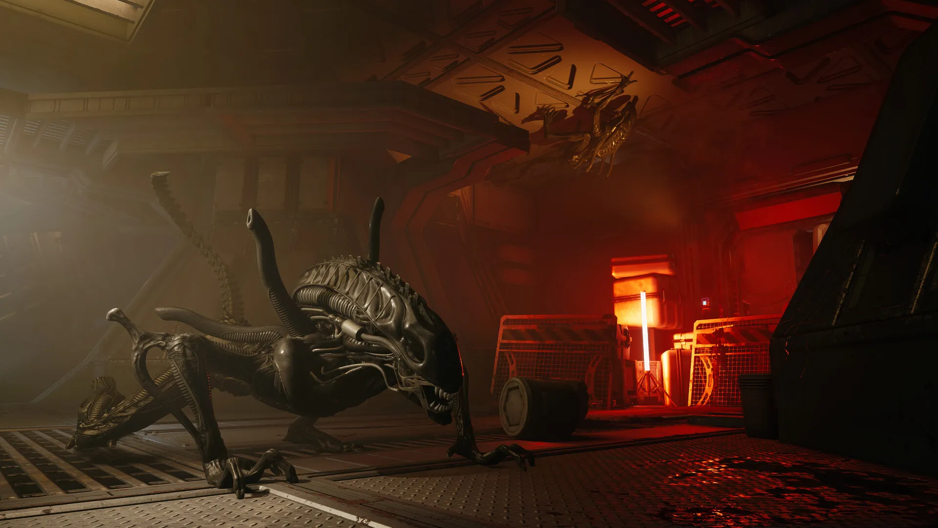 Captura Alien Rogue Incursion – Alienigena En Un Pasillo Iluminado En Tonos Rojizos