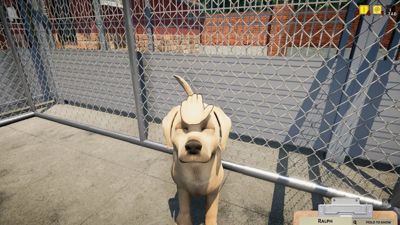 Captura Animal Shelter Simulator – Perro Blanco Con Orejas Puntiagudas Dentro De Un Corral Al Aire Libre