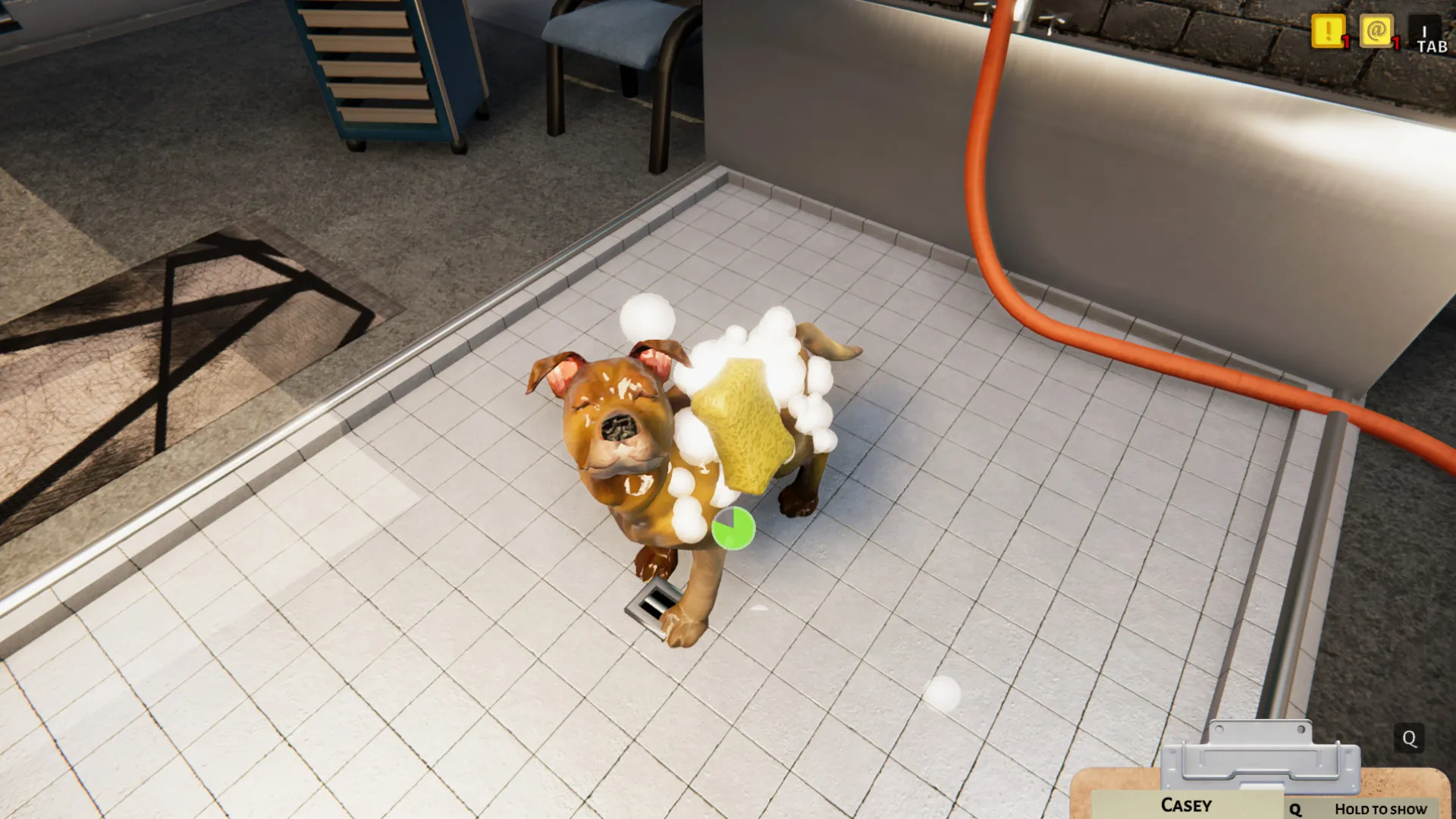 Captura Animal Shelter Simulator – Persona Cargando Un Perro Pequeno En Un Area Clinica