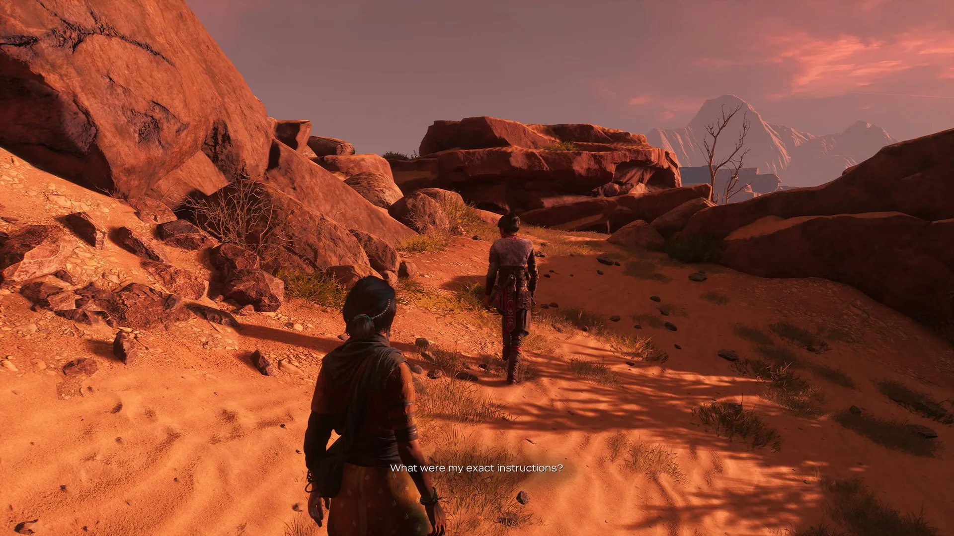 Captura Awakening Deluxe Edition Dos Personajes Caminan En Un Paisaje Desertico Con Formaciones Rocosas 1