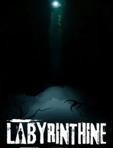 Labyrinthine
