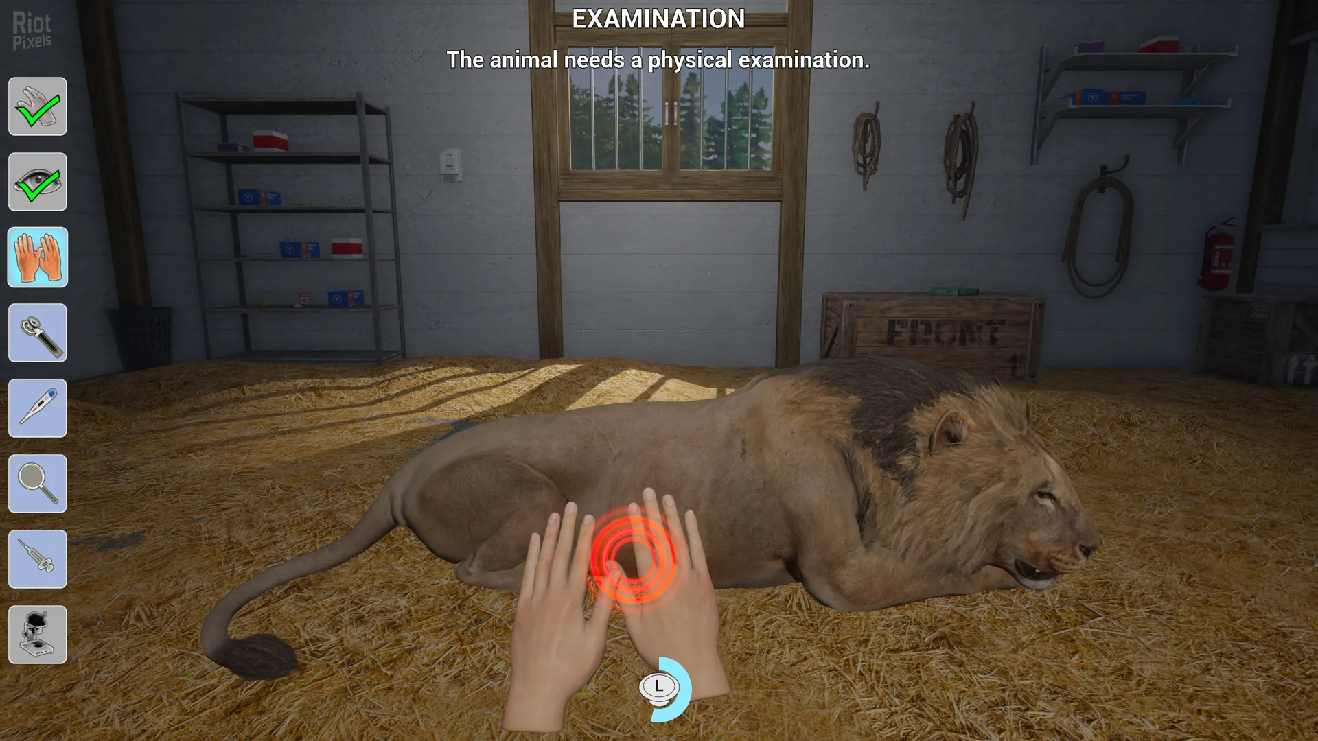 Captura My Life Zoo Vet – Mano Examina A Un Leon Dormido En Una Sala Veterinaria Con Utensilios Visibles