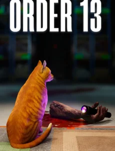 ORDER 13