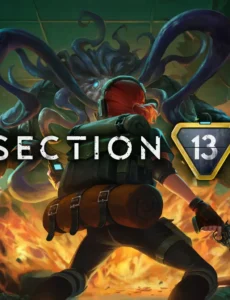 Section 13