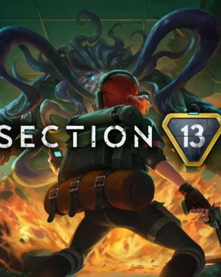 Section 13